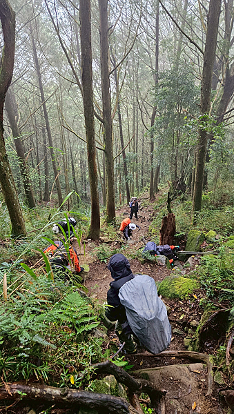 【新阿溪縱走】 阿里山眠月線 石猴車站 水樣森林 杉林溪