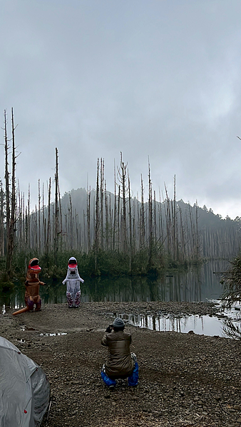 【新阿溪縱走】 阿里山眠月線 石猴車站 水樣森林 杉林溪