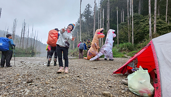【新阿溪縱走】 阿里山眠月線 石猴車站 水樣森林 杉林溪