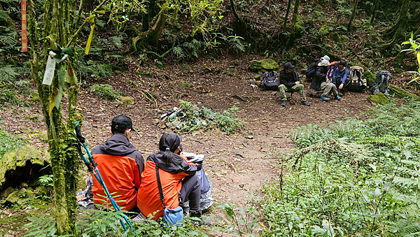 【新阿溪縱走】 阿里山眠月線 石猴車站 水樣森林 杉林溪