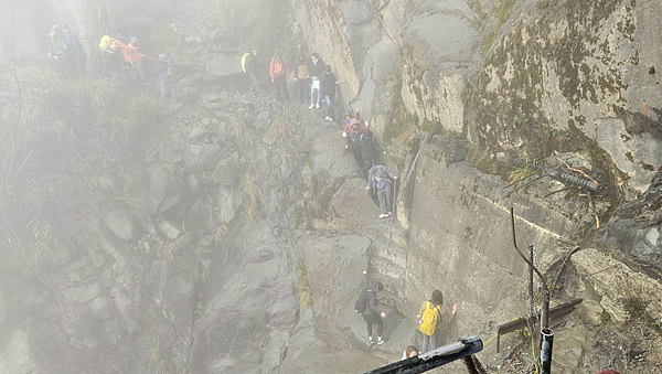 【新阿溪縱走】 阿里山眠月線 石猴車站 水樣森林 杉林溪