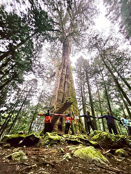 【新阿溪縱走】 阿里山眠月線 石猴車站 水樣森林 杉林溪