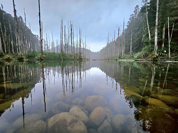 【新阿溪縱走】 阿里山眠月線 石猴車站 水樣森林 杉林溪