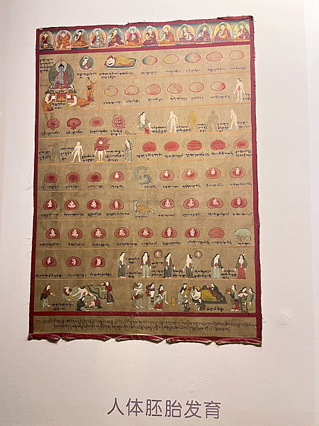 【西藏】-世界屋脊 拉薩 布達拉宮 大昭寺 那木措 青藏鐵路 【西藏】-世界屋脊 拉薩 布達拉宮 大昭寺 那木措 青藏鐵路