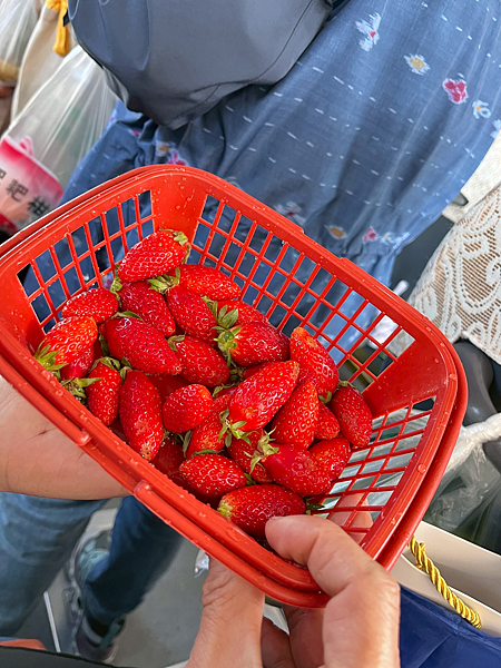 【西藏】-世界屋脊 拉薩 布達拉宮 大昭寺 那木措 青藏鐵路 【西藏】-世界屋脊 拉薩 布達拉宮 大昭寺 那木措 青藏鐵路