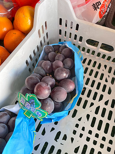 【西藏】-世界屋脊 拉薩 布達拉宮 大昭寺 那木措 青藏鐵路 【西藏】-世界屋脊 拉薩 布達拉宮 大昭寺 那木措 青藏鐵路