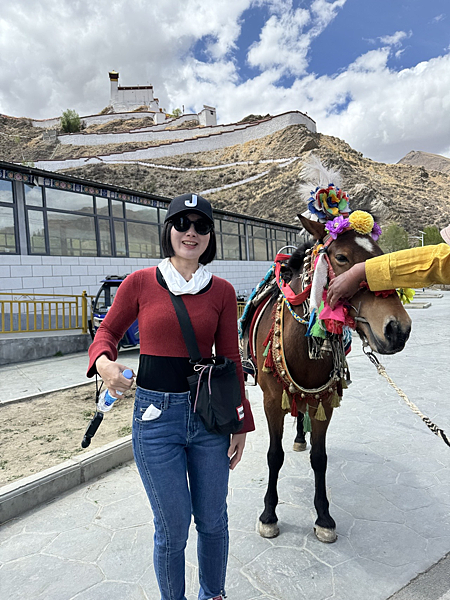 【西藏】-世界屋脊 拉薩 布達拉宮 大昭寺 那木措 青藏鐵路 【西藏】-世界屋脊 拉薩 布達拉宮 大昭寺 那木措 青藏鐵路