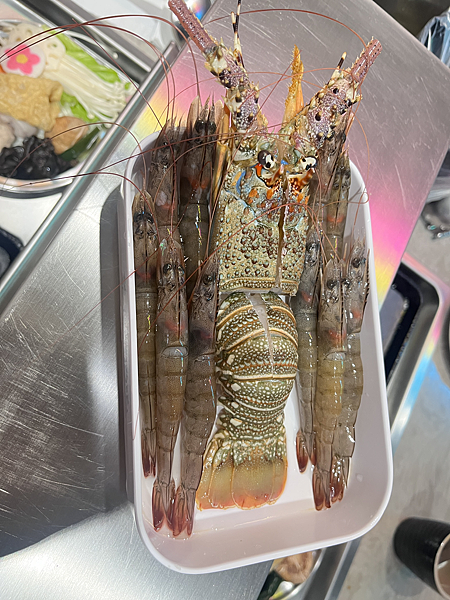 【高雄】-鳳山 蓁火烤兩吃平價CP值高棉花糖 身高送肉 【高雄】-鳳山 蓁火烤兩吃平價CP值高棉花糖 身高送肉