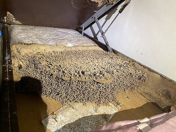 白蟻防治_發現蟻巢