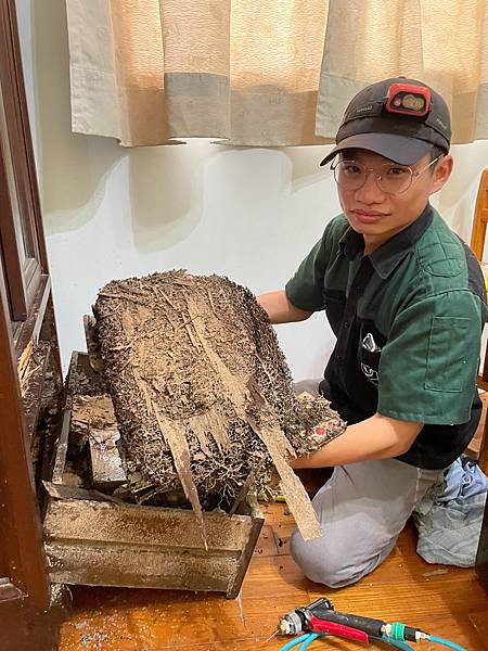 白蟻防治_蟻巢拆除