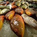 F海魚4 (640x426).jpg