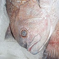 F扁過魚3 (640x480).jpg