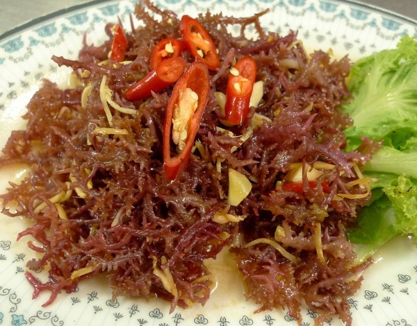 E海菜1 (640x501).jpg