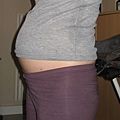 18 weeks 03.jpg