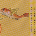 贏魚.jpg