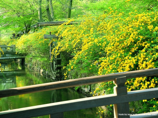 [wall001.com]_Kyoto_scene_J01_41.jpg