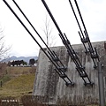 DSC06397九重夢大吊橋.jpg