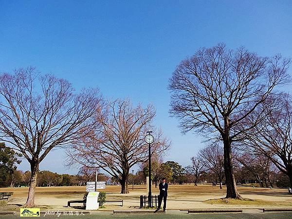 DSC06589熊本城.jpg