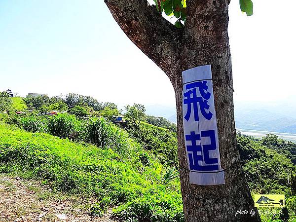 台東旅遊景點-台東鹿野高台