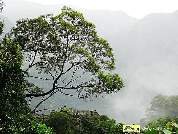 高雄旅遊景點-茂林風景區