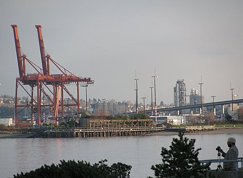 西雅圖景點:Seattle Alki Beack Park