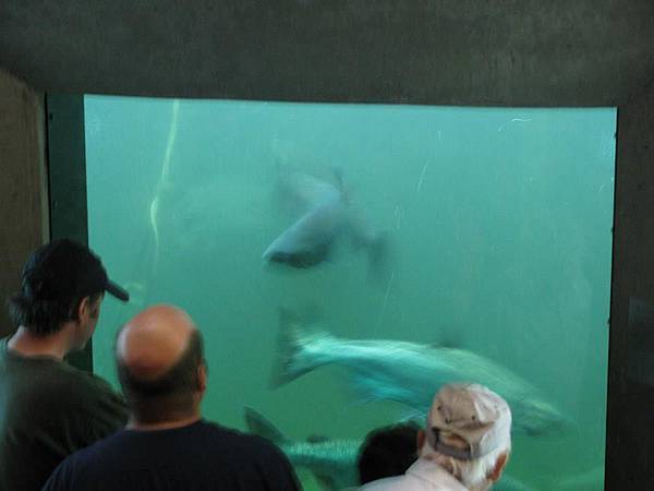 Kerry-1 (11).jpg Kerry-1 (11).jpg