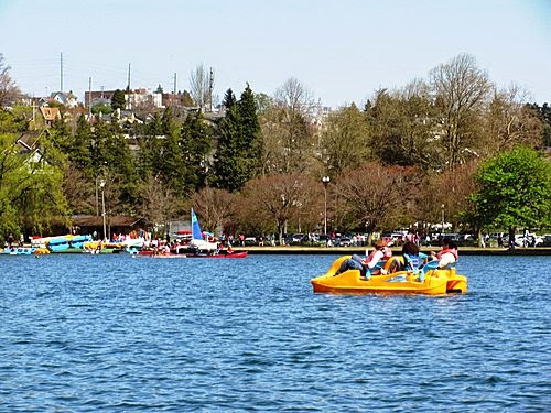 西雅圖月租公寓/近Green Lake:提供兩房一廚一衛公寓