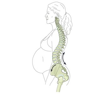 kitchener-chiropractor-pregnant-spine.jpg