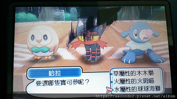 DSC_4450.JPG DSC_4450.JPG