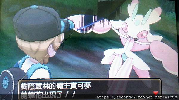 DSC_4503.JPG DSC_4503.JPG