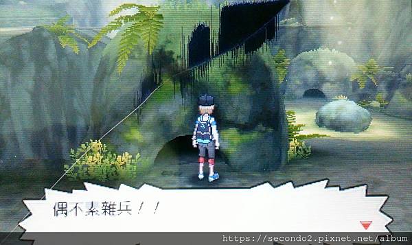 DSC_4462.JPG DSC_4462.JPG