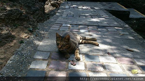 DSC_5572.JPG DSC_5572.JPG