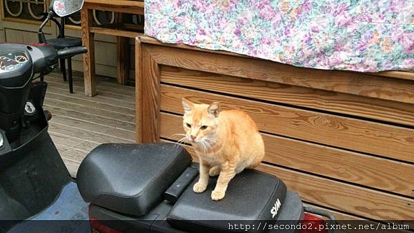 DSC_5664.JPG DSC_5664.JPG