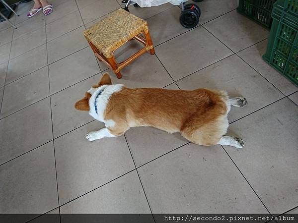 Image_ff5f1ae.jpg Image_ff5f1ae.jpg