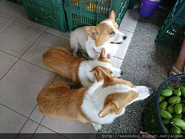 Image_66eff05.jpg Image_66eff05.jpg