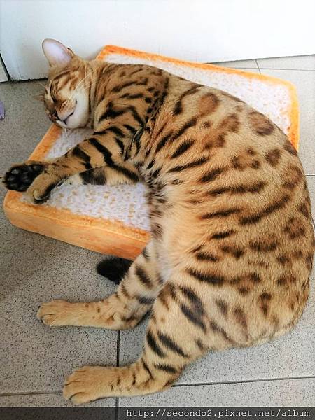 Image_9f44753.jpg Image_9f44753.jpg