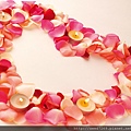 folwer-hert-valentine-wallpaper