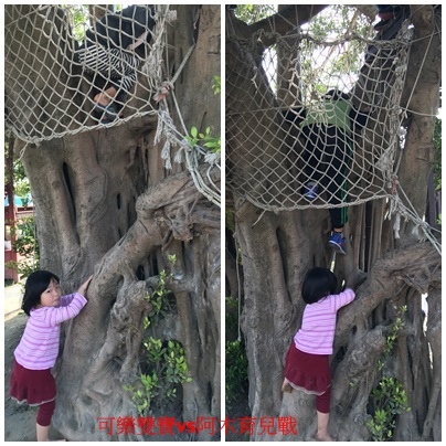 【潛力種子】刺激逼著大腦發展 【潛力種子】刺激逼著大腦發展