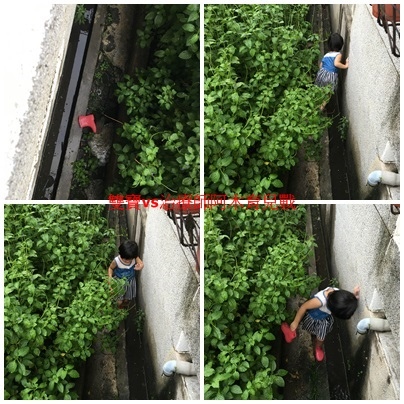 【潛力種子】陪著孩子學習善後 【潛力種子】陪著孩子學習善後