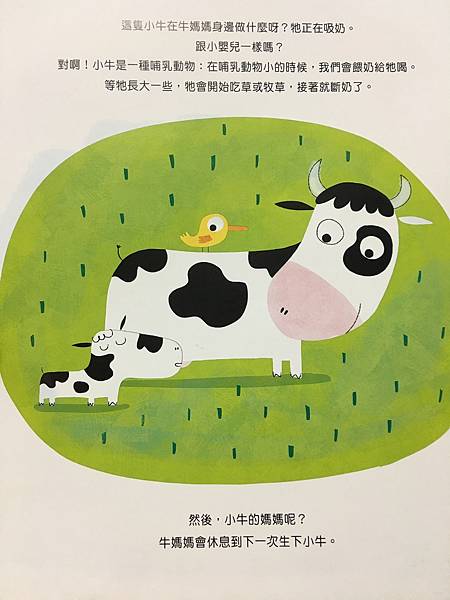 【潛力種子】繪本:認識牛奶 【潛力種子】繪本:認識牛奶