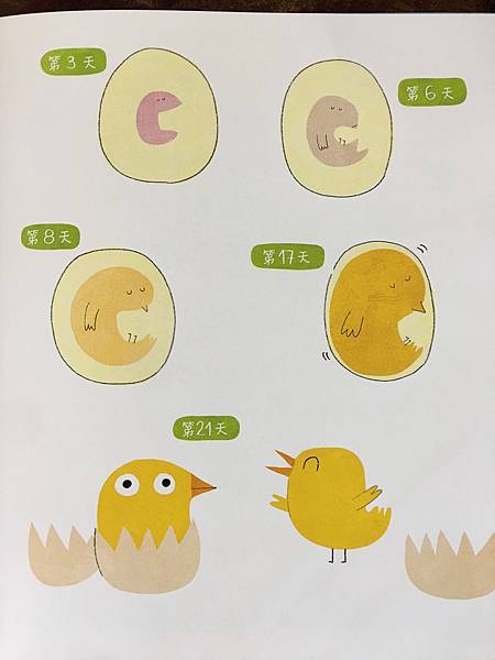 【潛力種子】親子繪本認識蛋 【潛力種子】親子繪本認識蛋