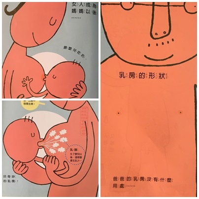 【潛力種子】教孩子認識性別差異 【潛力種子】教孩子認識性別差異