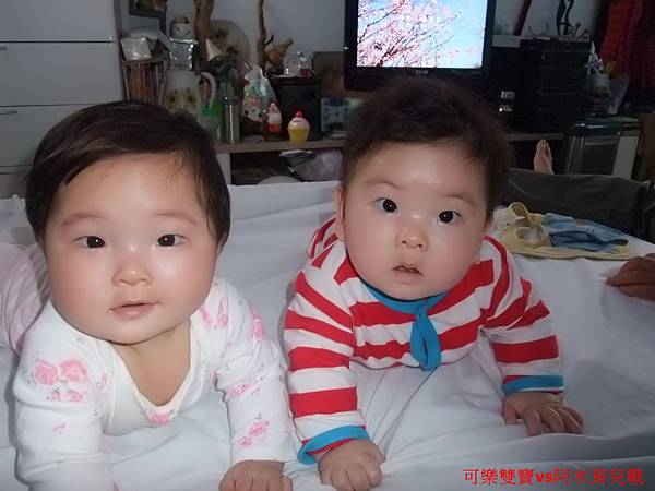 【潛力種子】0-1歲多爬行 【潛力種子】0-1歲多爬行