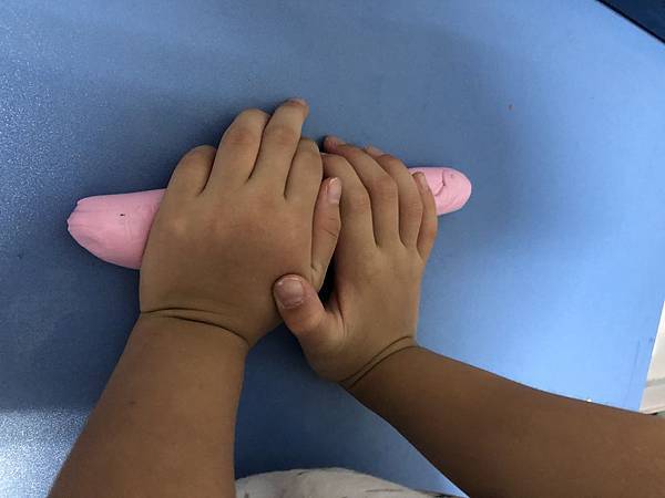 潛力種子 潛力種子