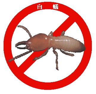 白蟻-2-1.jpg 白蟻-2-1.jpg