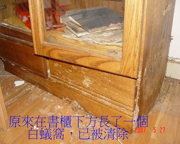 木工裝潢木材白蟻產生原因 如何對付白蟻怎麼杜絕家中飛蟻白蟻飛進來怎麼辦家中出現大量白蟻原因 交給欣立除白蟻專家免煩惱免費現場估價 木工裝潢木材白蟻產生原因 如何對付白蟻怎麼杜絕家中飛蟻白蟻飛進來怎麼辦家中出現大量白蟻原因 交給欣立除白蟻專家免煩惱免費現場估價