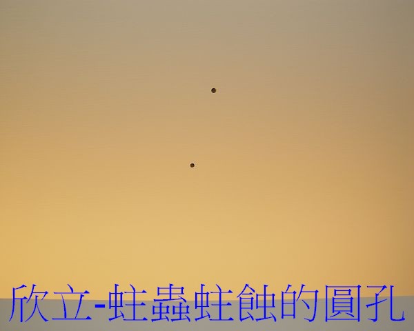 蛀蟲聲音-蛀蟲處理 蛀蟲聲音-蛀蟲處理