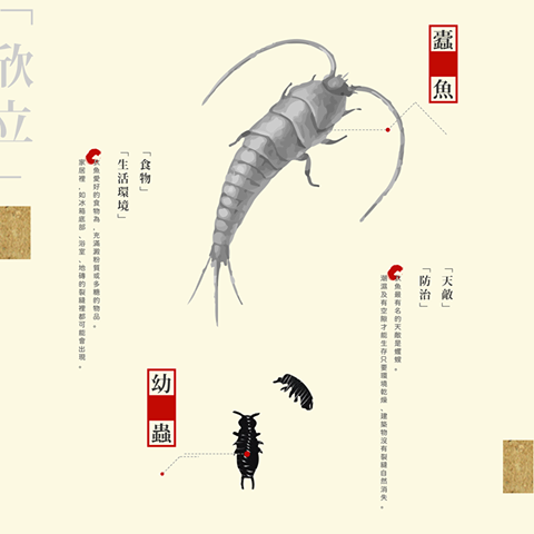 蠹魚.png 蠹魚.png