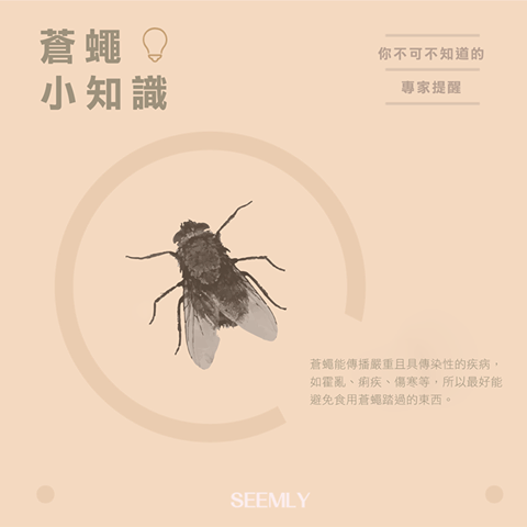 蒼蠅.png 蒼蠅.png