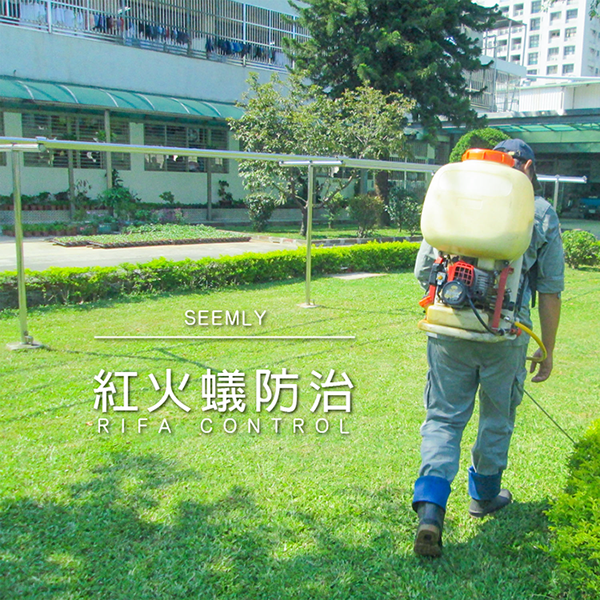 消滅紅火蟻.png 消滅紅火蟻.png